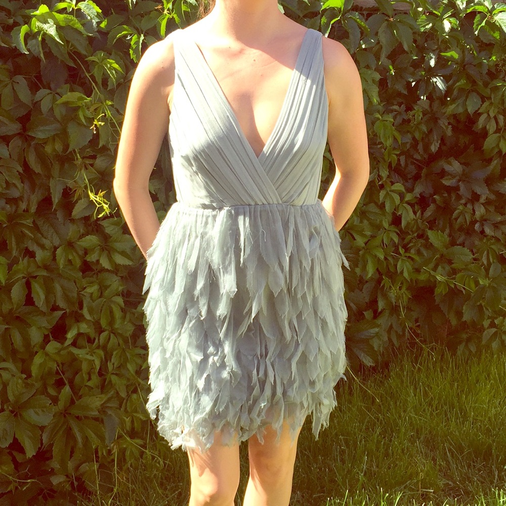 Alice and Olivia Dress